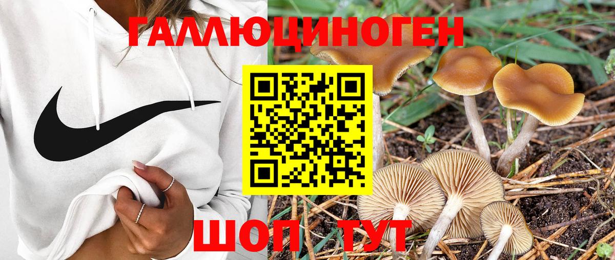 Галлюциногенные грибы Cubensis  Вход с VPN  Мыски 