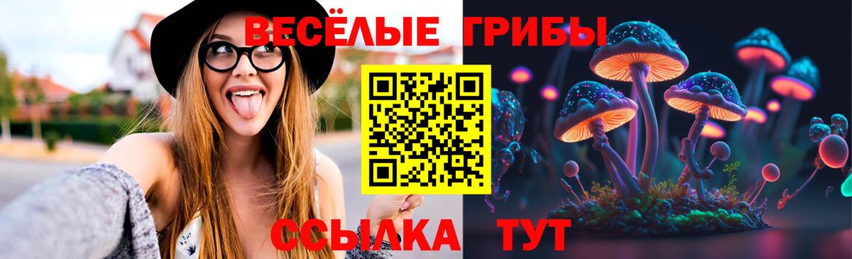 Галлюциногенные грибы GOLDEN TEACHER Мыски